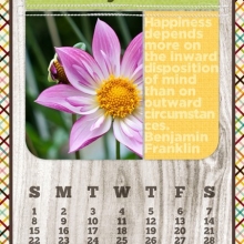 May 2011 Calendar